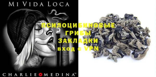 гидра Алексин