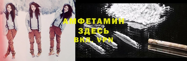 ECSTASY Алзамай