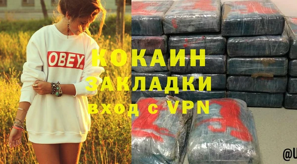 гидра Алексин