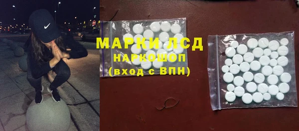 ECSTASY Алзамай