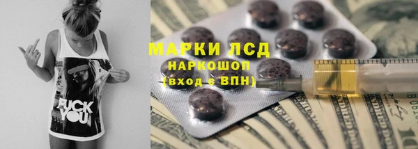 гидра Алексин