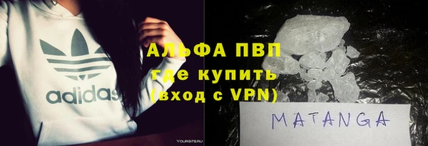 ECSTASY Алзамай