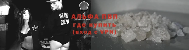 спиды Аркадак